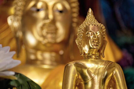 Buddha type Concentrationの写真素材