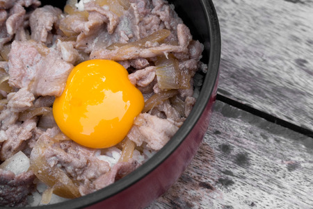 Rice Grilled Pork with egg  の写真素材