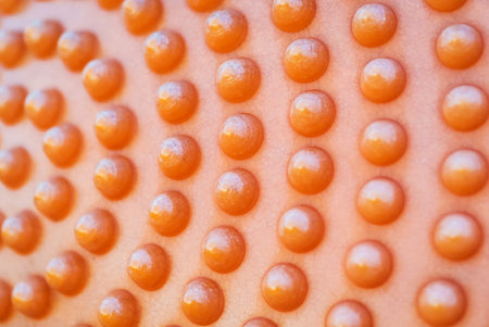 Plastic dots with sun light .の写真素材