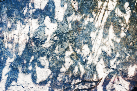 Stone texture with moss .の写真素材