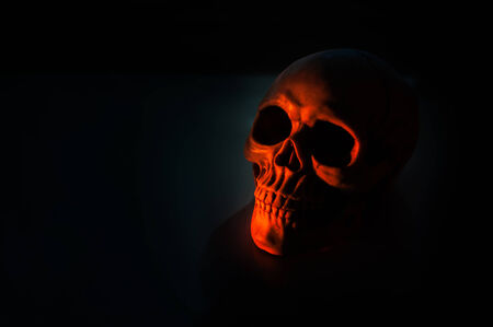 Still life with a skull human sunset light .の写真素材