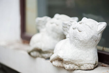 stone cat in soft light DOF technic .の写真素材