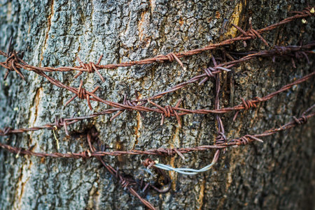 An Barb wire feeling danger .の写真素材