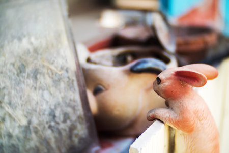 Bunny Statue in garden place .の写真素材