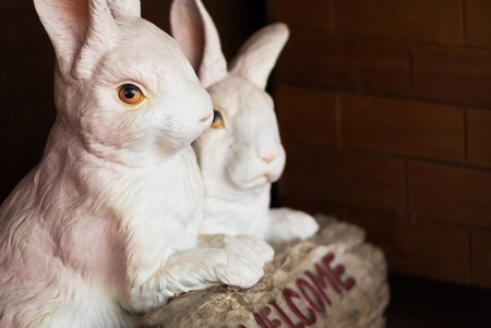 Bunny Statue in garden place .の写真素材