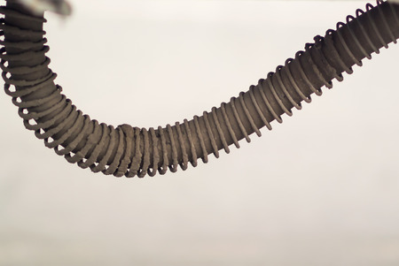 Old spring steel flexible .の写真素材