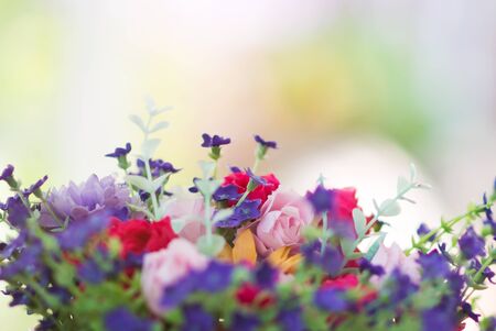 An flowers plastic in soft light .の写真素材