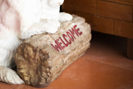 Bunny Statue in garden place .の写真素材