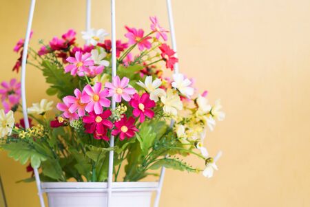 An flowers plastic in soft light .の写真素材