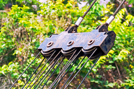 An Sling in sunlight with nature place .の写真素材