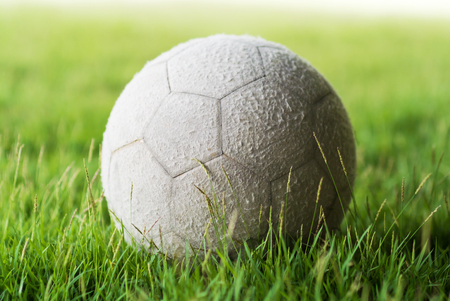 Football on green grass with soft light .の写真素材