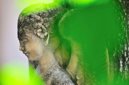 Angel statue in nature place in soft light .の写真素材