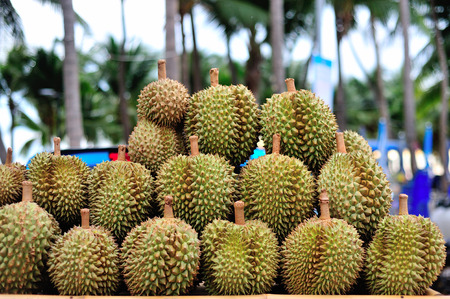 An Durian nature fruit in southeast asia .の写真素材