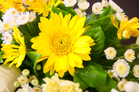Artificial flowers in soft lightの写真素材