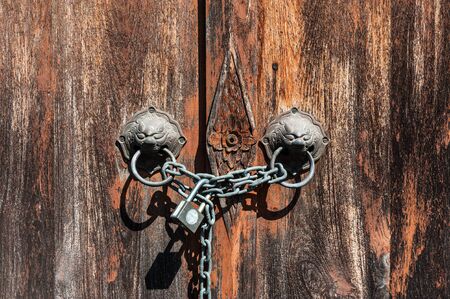 Door Knob Tiger art style place .の写真素材