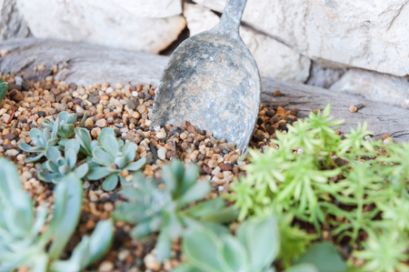 Home garden happy place for you .の写真素材