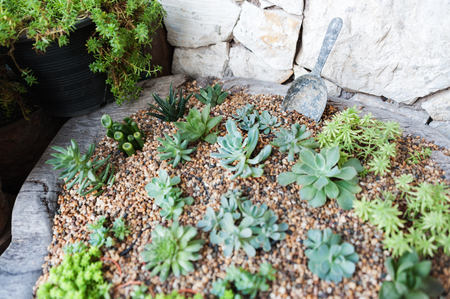 Home garden happy place for you .の写真素材