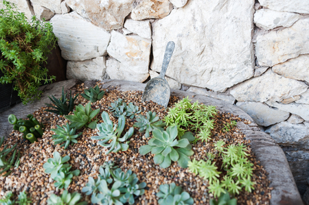Home garden happy place for you .の写真素材