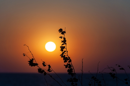Sunset with brach in asia place .の写真素材
