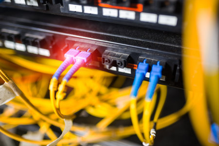 fiber optic with servers in a technology data center .