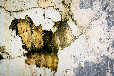 An Wall steel Rusty with soft light .の写真素材