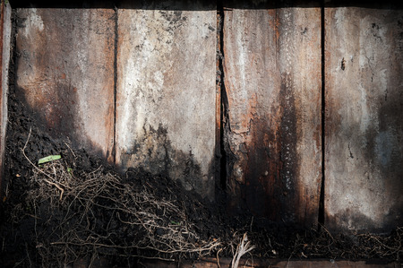 Old wood background drop shadow soft ligh .の写真素材