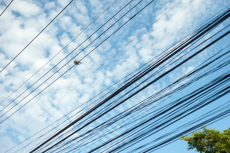 Pillar electric line in sun light .の写真素材