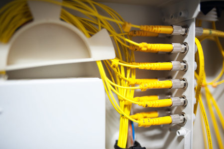 fiber optic with servers in a technology data center .