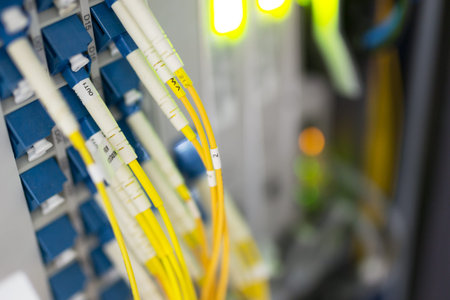 fiber optic with servers in a technology data center .