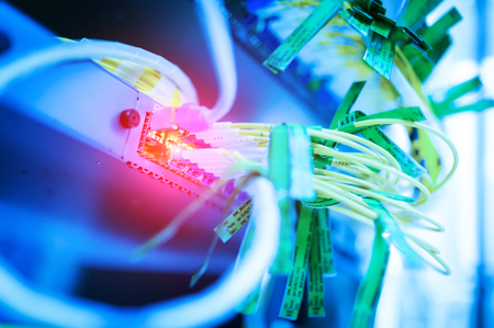 Network serverの写真素材