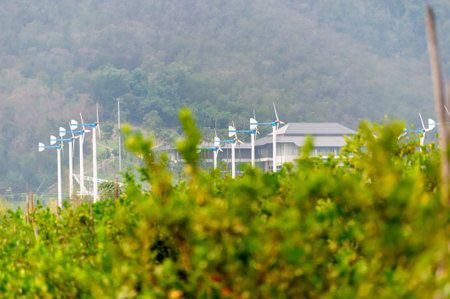 Wind turbine farm in the morning at Mae Hong Son province, Thailand.の写真素材