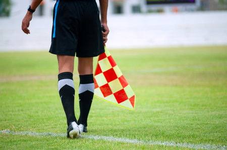football referee in softlight green grassの写真素材
