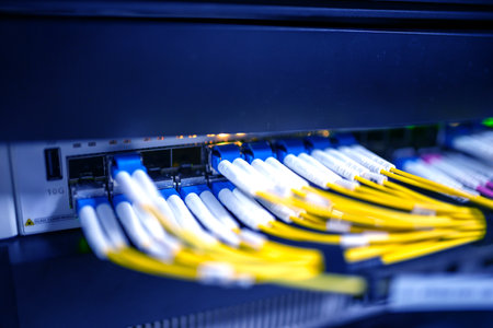 centralized connection to server and router/gateway for users to access various information systemsの写真素材