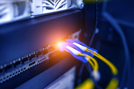 centralized connection to server and router/gateway for users to access various information systemsの写真素材