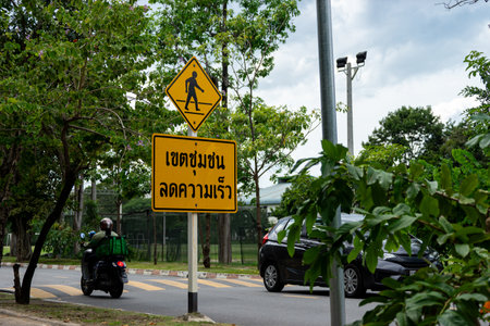 This versatile image is suitable for a range of applications related to traffic safety and urban planningの写真素材