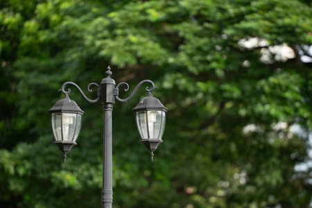 Lamp post in the garden with tree and green leaves backgroundの写真素材