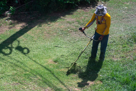 Man cutting grass on a sunny dayの写真素材