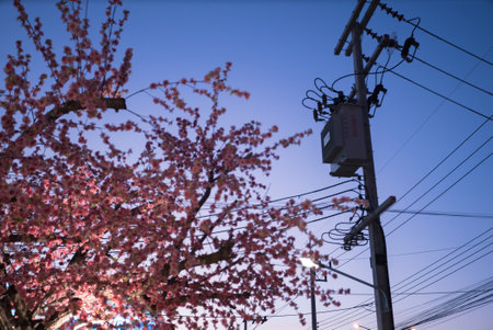 electrical transformer is a vital component in electrical distribution systems that is used to transfer electrical energyの写真素材