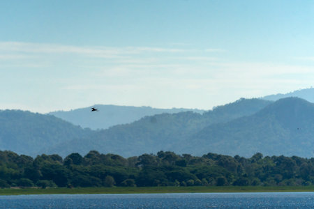 The reservoir is full of nature, full of life.の写真素材