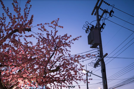 electrical transformer is a vital component in electrical distribution systems that is used to transfer electrical energyの写真素材