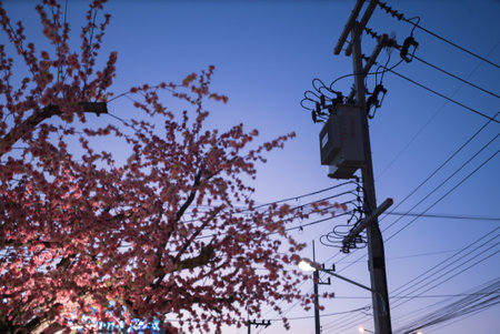 electrical transformer is a vital component in electrical distribution systems that is used to transfer electrical energyの写真素材