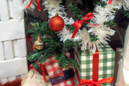 In ancient times, the Christmas tree meant a tree in paradise.の写真素材