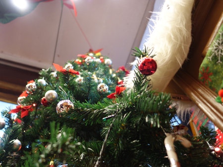 In ancient times, the Christmas tree meant a tree in paradise.の写真素材