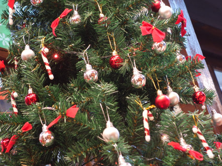 In ancient times, the Christmas tree meant a tree in paradise.の写真素材