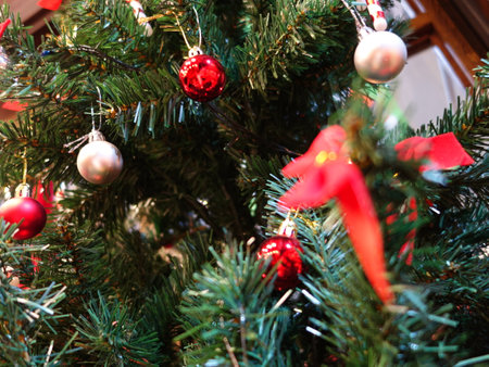 In ancient times, the Christmas tree meant a tree in paradise.の写真素材