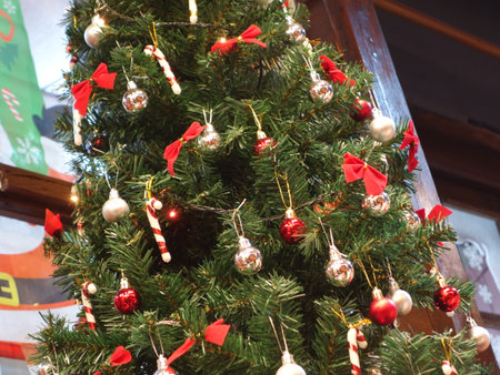 In ancient times, the Christmas tree meant a tree in paradise.の写真素材