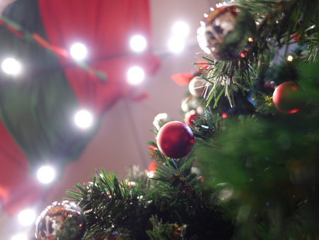 In ancient times, the Christmas tree meant a tree in paradise.の写真素材