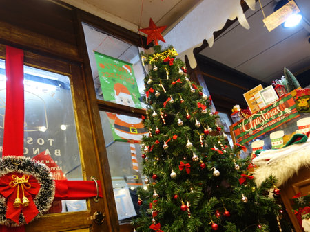 In ancient times, the Christmas tree meant a tree in paradise.の写真素材