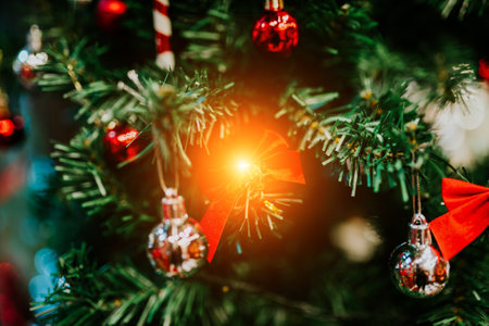 In ancient times, the Christmas tree meant a tree in paradise.の写真素材