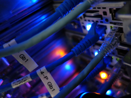 network cables connected to switch - closeup of data center hardware technology